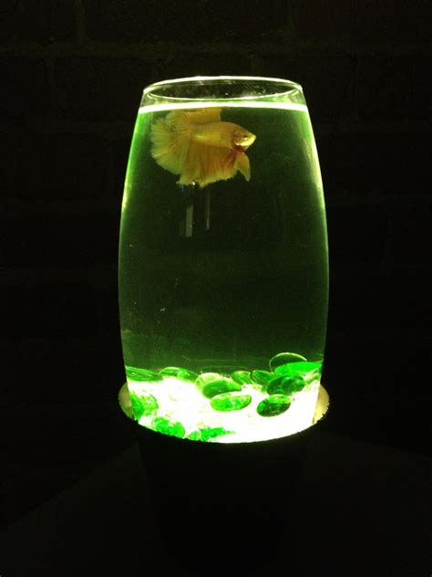 Add a Touch of Magic to Your Décor with a Glow Fishbowl
